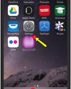 iOS notification 2 - push notifications