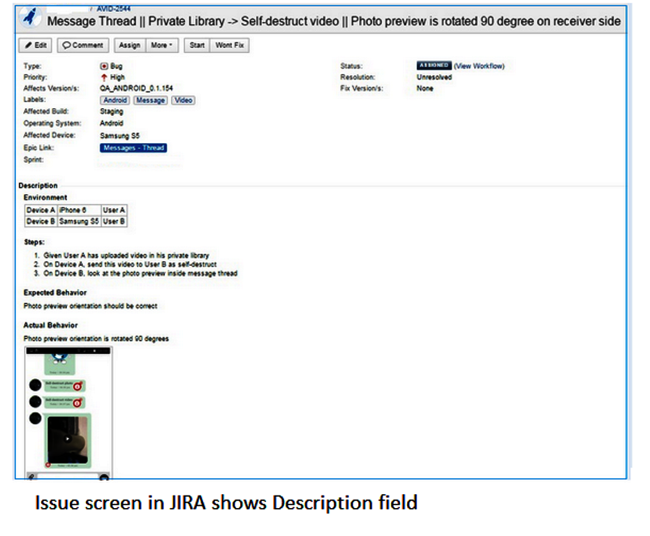 The JIRA issue formatting screen