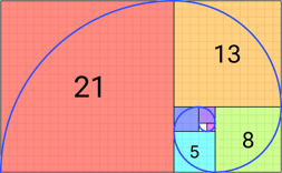 fib spiral